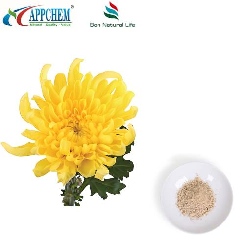 Púdar Sliocht Flos Chrysanthemi