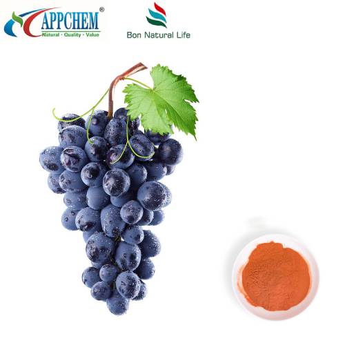Púdar Sliocht Síl Úrfhíon fíonchaor 95 Polyphenols