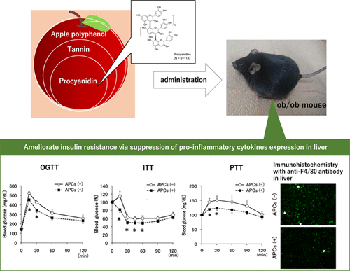 info-500-387