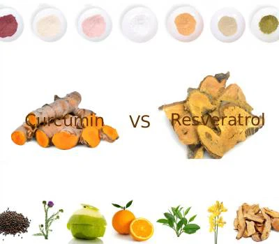 Curcumin vs Resveratrol: Cé acu Polyphenol a Sheachadann Luach Feidhme Níos Mó?