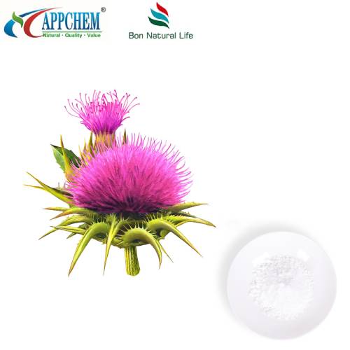 Sliocht Thistle Bainne Silybin