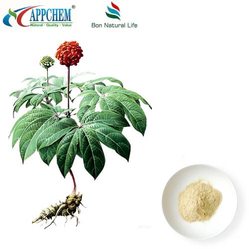 Sliocht Notoginseng Radix Et Rhizoma