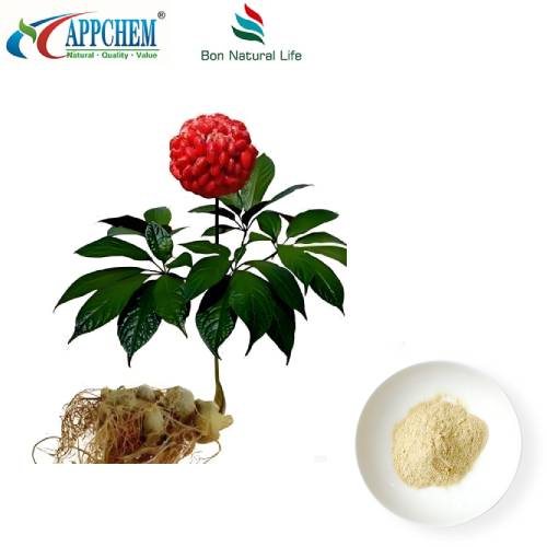 Notoginseng   Fréamh   Sliocht