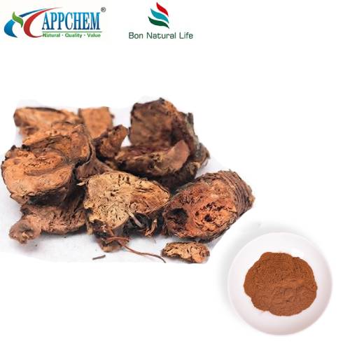 Púdar Sliocht Rhodiola Rosea