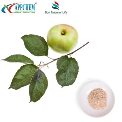 Apple Sliocht Phloretin Bulk Supply