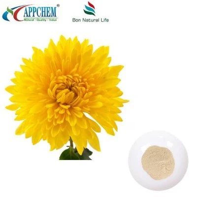 Sliocht Flos Chrysanthemi