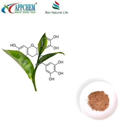 Sliocht Tae Glas Polyphenol