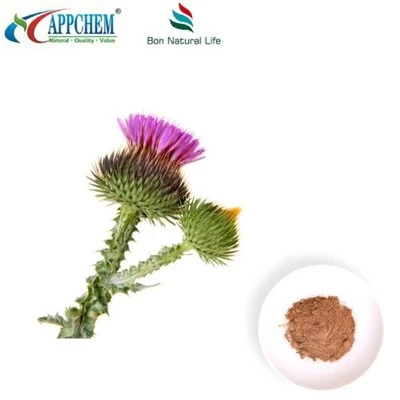 Sliocht Síl Thistle Bainne