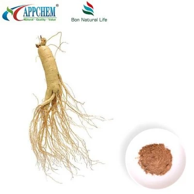 Púdar Sliocht Panax Ginseng