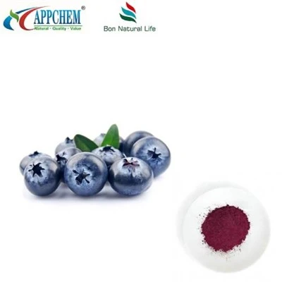 Púdar Sliocht Pure Blueberry