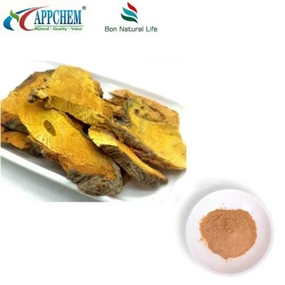 Púdar Sliocht Resveratrol Polygonum Cuspidatum