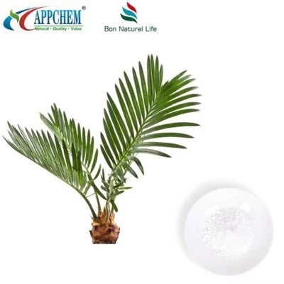 Chonaic Púdar Sliocht Palmetto